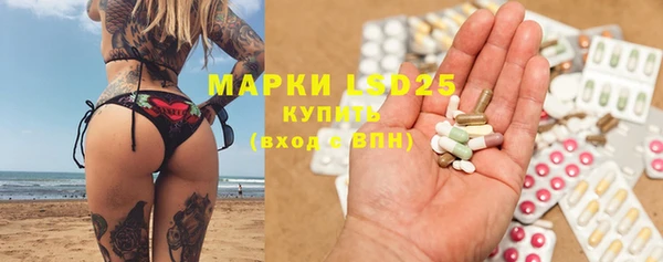 прущие грибы Армянск