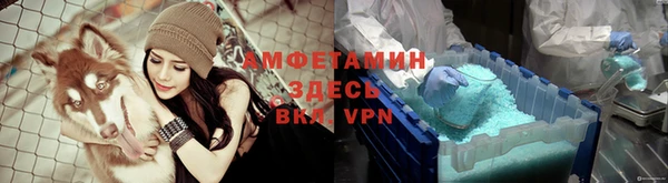 кокс Аркадак