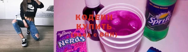 прущие грибы Армянск