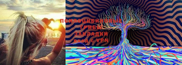 прущие грибы Армянск