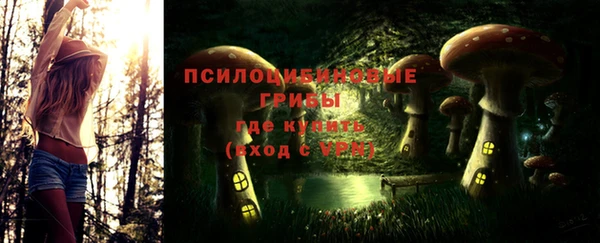 прущие грибы Армянск