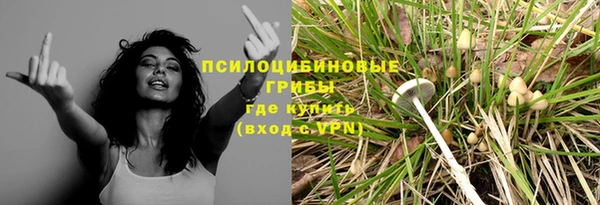 кокс Аркадак