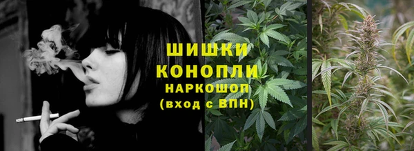 прущие грибы Армянск