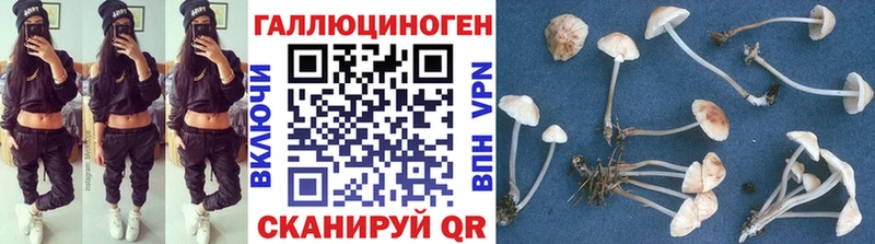 blacksprut зеркало  Похвистнево  Псилоцибиновые грибы Cubensis  хочу наркоту 