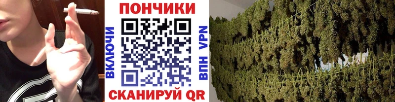 Шишки марихуана VHQ  хочу наркоту  Похвистнево 